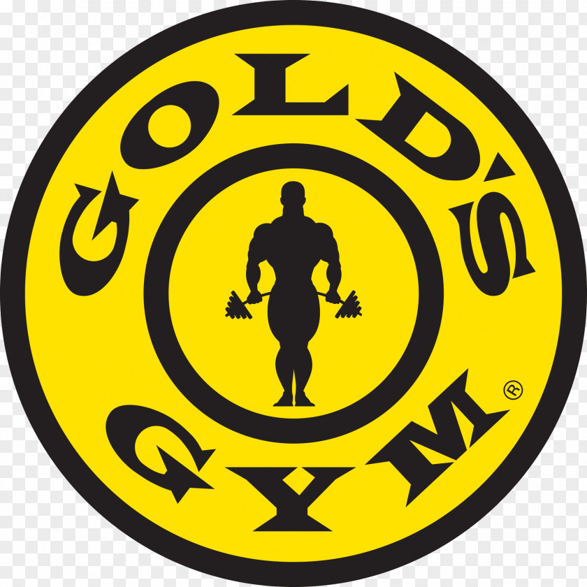 Gym Gold's Fitness Centre Bench Physical PNG