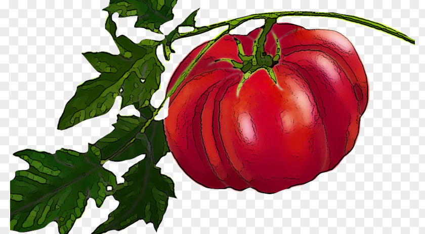 Heirloom Tomato Plum Bush Food PNG