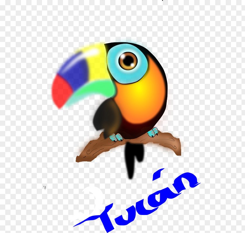 Toucan Bird Parrot Clip Art PNG