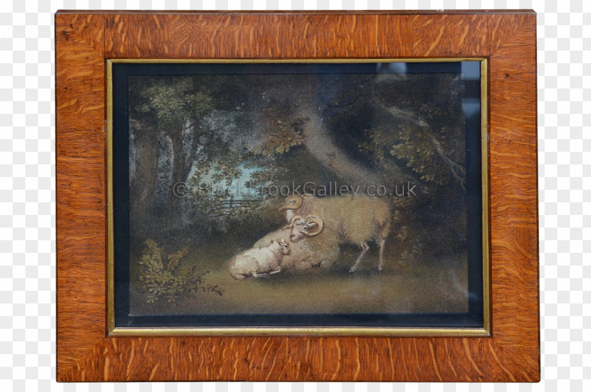 Watercolor Paint Border Picture Frames Painting Lion Horse Carnivora PNG