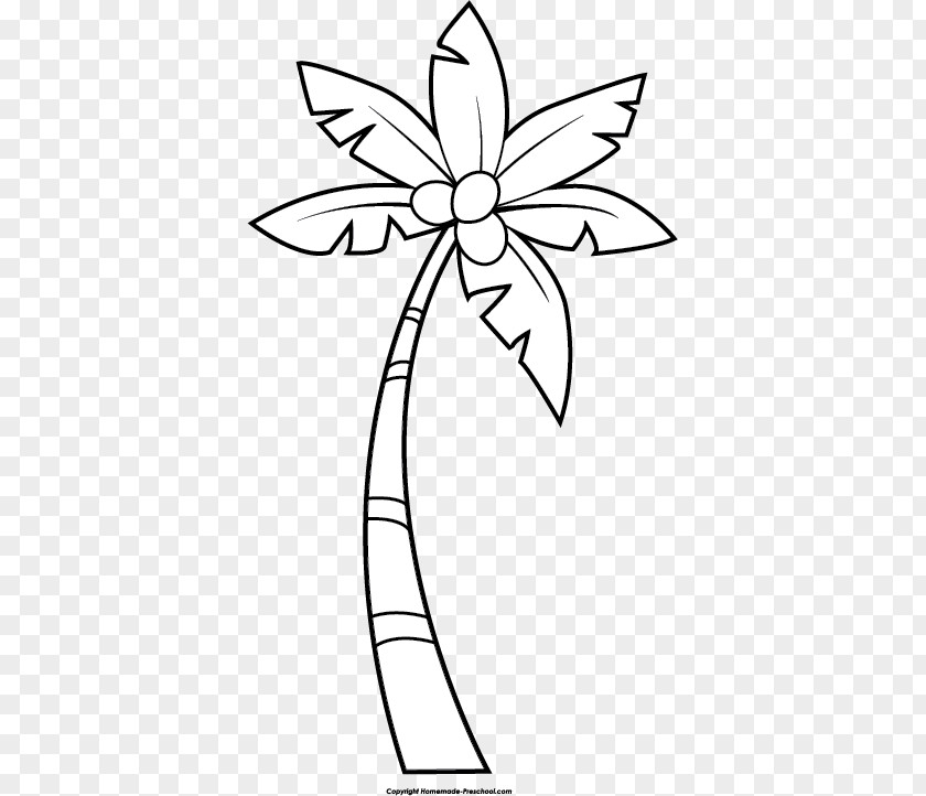 Banana Coconut Cliparts Arecaceae Tree Clip Art PNG