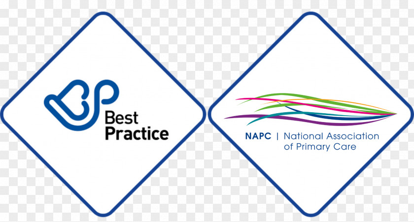 Best Practices Organization Management Practice Chief Marketing Officer PNG