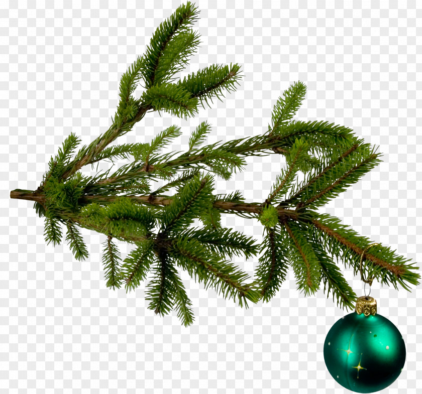 Christmas Image Tree Branch Ornament PNG