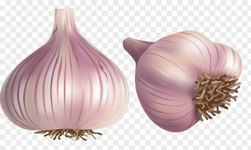Garlic Spice Condiment PNG