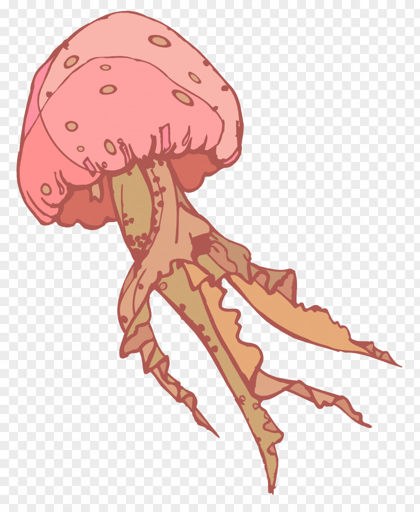 Jellyfish Animation Clip Art PNG