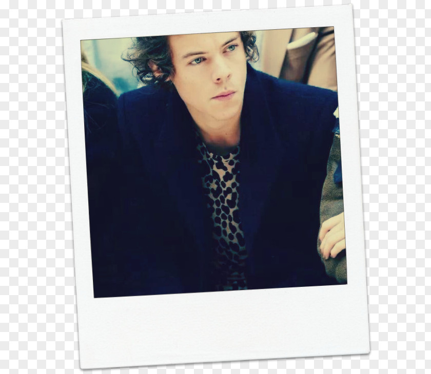One Direction Harry Styles Celebrity Image Burberry PNG