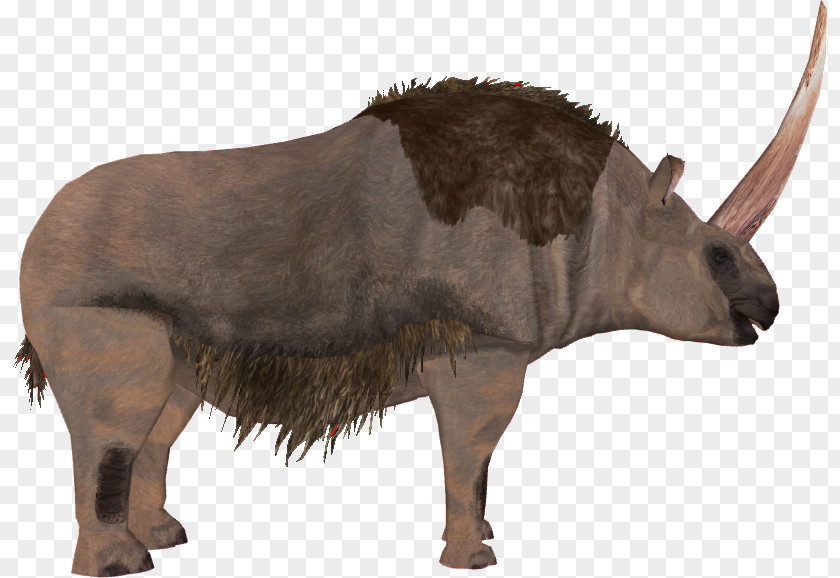 Ox Horn Elasmotherium Horned Gopher Bison Mammal PNG