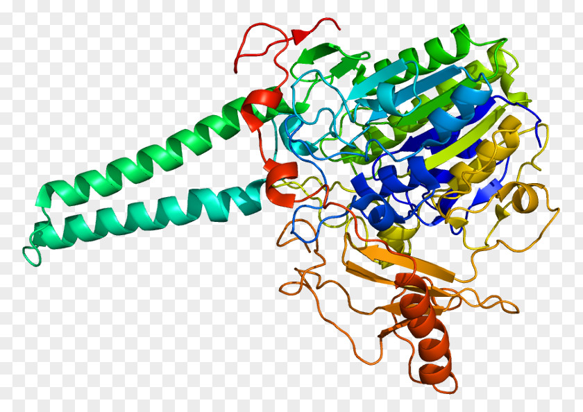 Steroid Sulfatase X-linked Ichthyosis Iduronate-2-sulfatase PNG