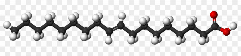 Vegetable Stearic Acid Saturated Fat Fatty Molecule PNG