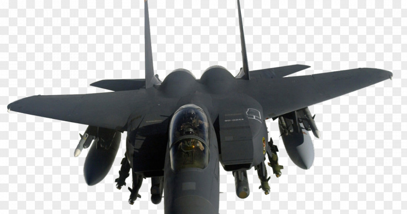 Airplane Robins Air Force Base McDonnell Douglas F-15 Eagle F-15E Strike Lockheed Martin F-22 Raptor Grumman F-14 Tomcat PNG