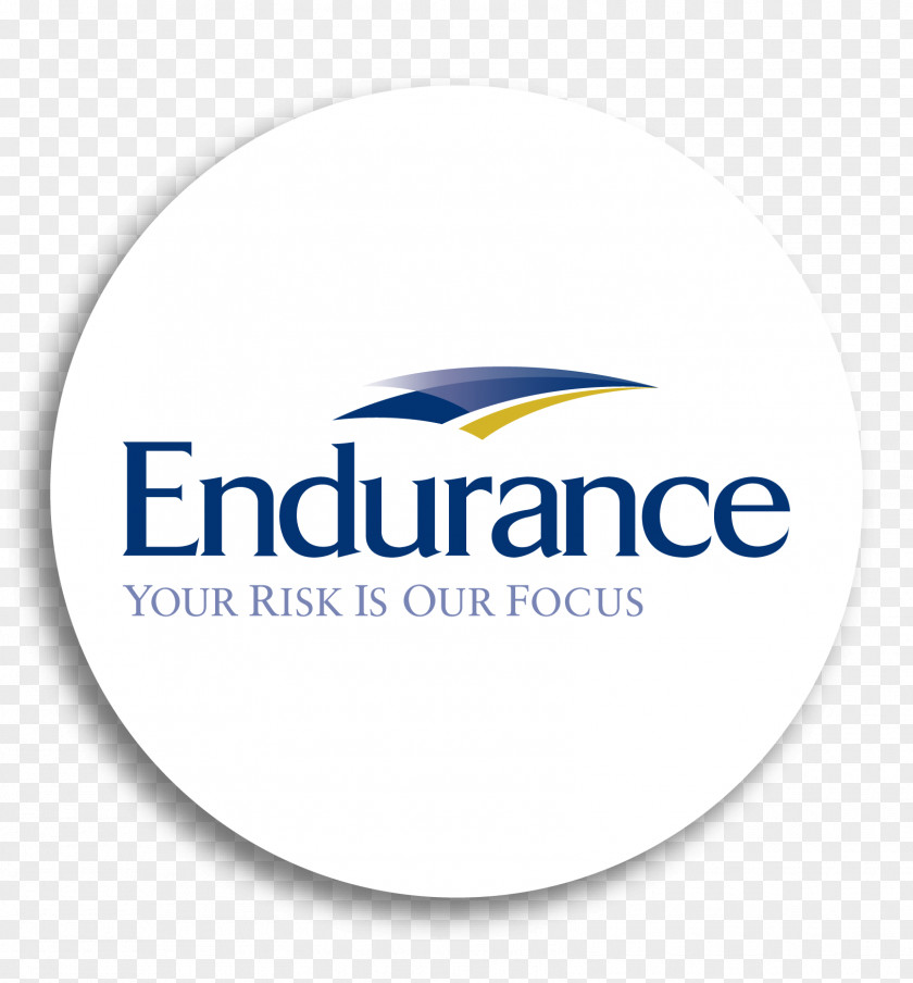 Endurance Specialty Holdings Ltd Insurance Agent American Company Casualty PNG