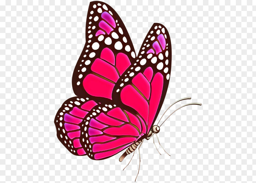 Magenta Brushfooted Butterfly Monarch PNG