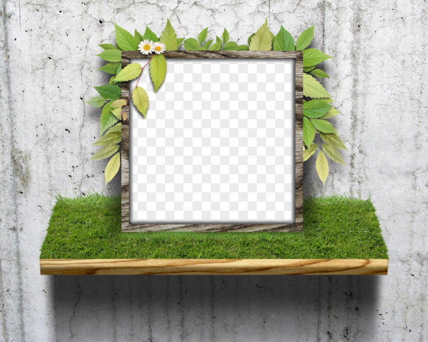 Wood Branch Picture Frame PNG