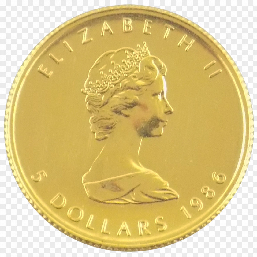 Coin Gold Bronze PNG