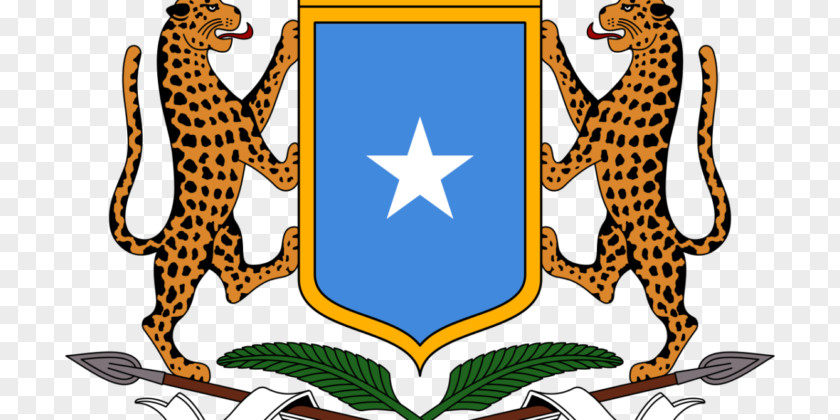 Dekedaha FC Dowladda Gaadiidka Federal Government Of Somalia President PNG