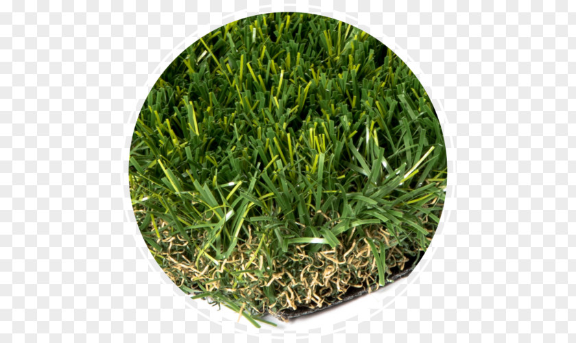 Grassy Area Artificial Turf Lawn Landscape Grasses PNG
