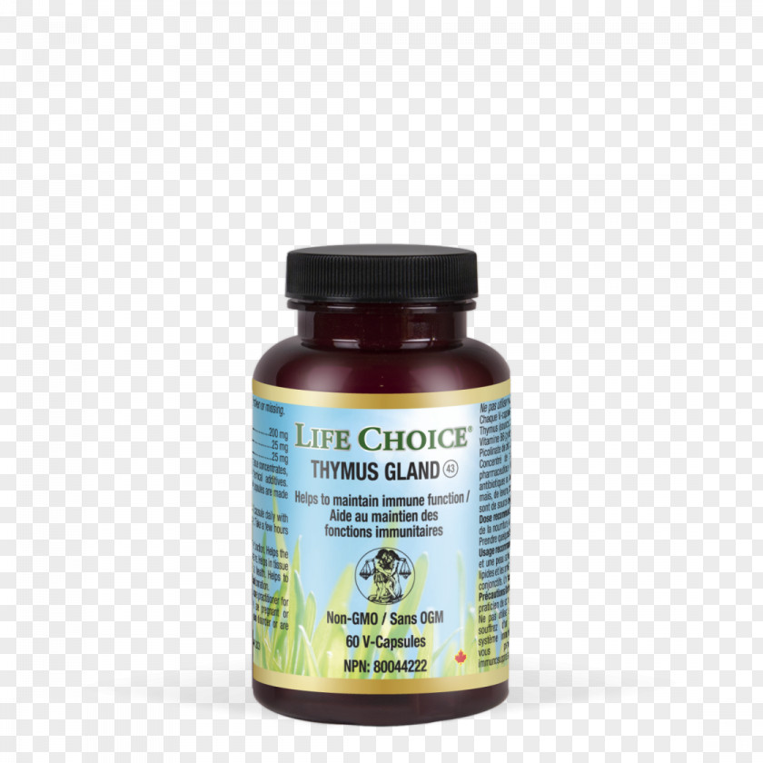 Immune Dietary Supplement Melatonin Phenylalanine Amino Acid Life PNG