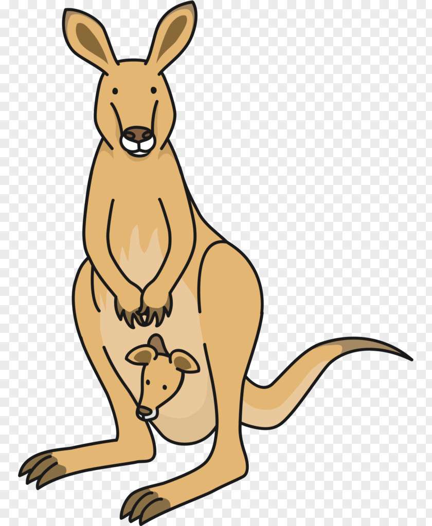 Kangaroo Macropods Clip Art Vector Graphics Openclipart PNG