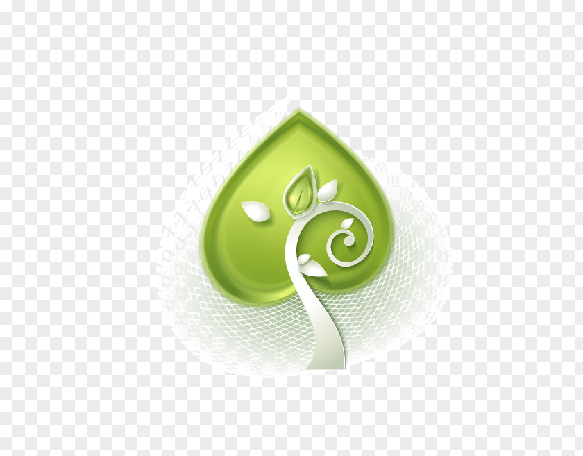 Leaf PNG