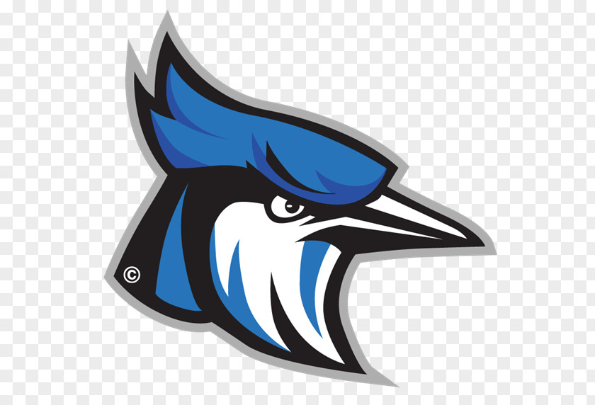 School Raytown High Toronto Blue Jays Middle PNG