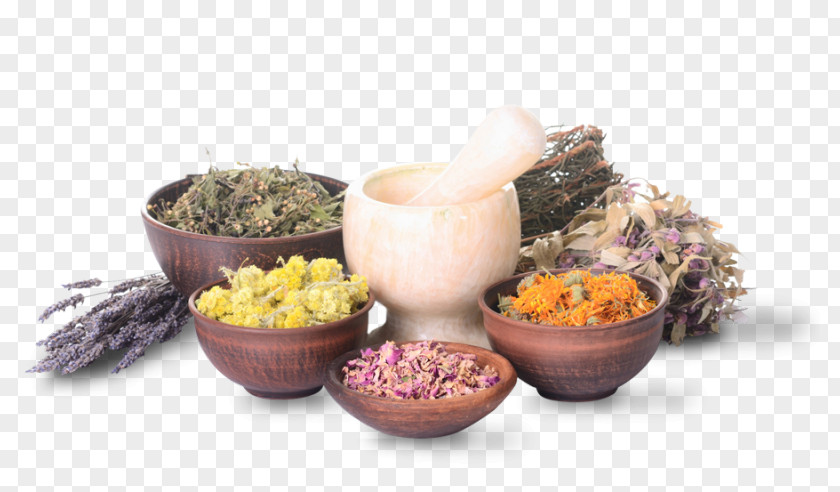 Hierbas Herbalism Medicine Medicinal Plants Alternative Health Services PNG