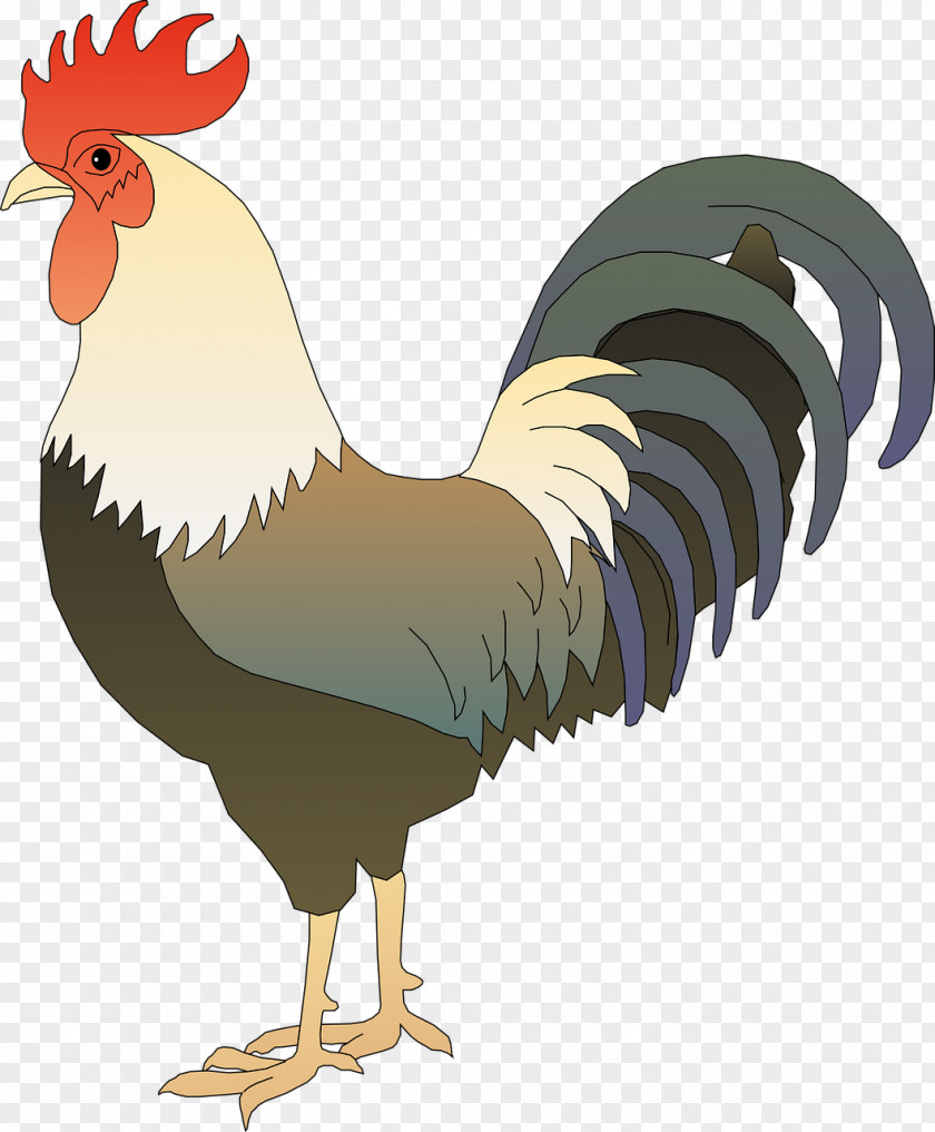 Chicken Rooster Clip Art PNG