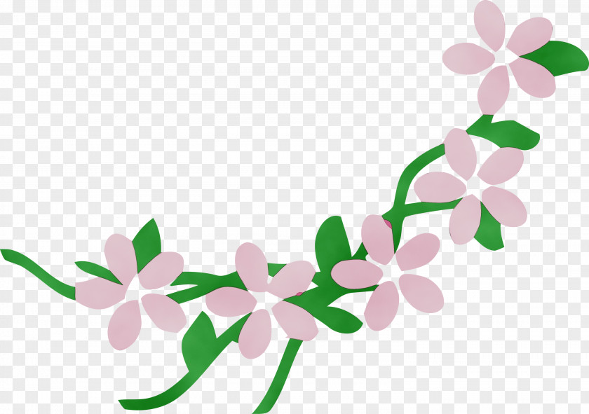 Floral Design PNG