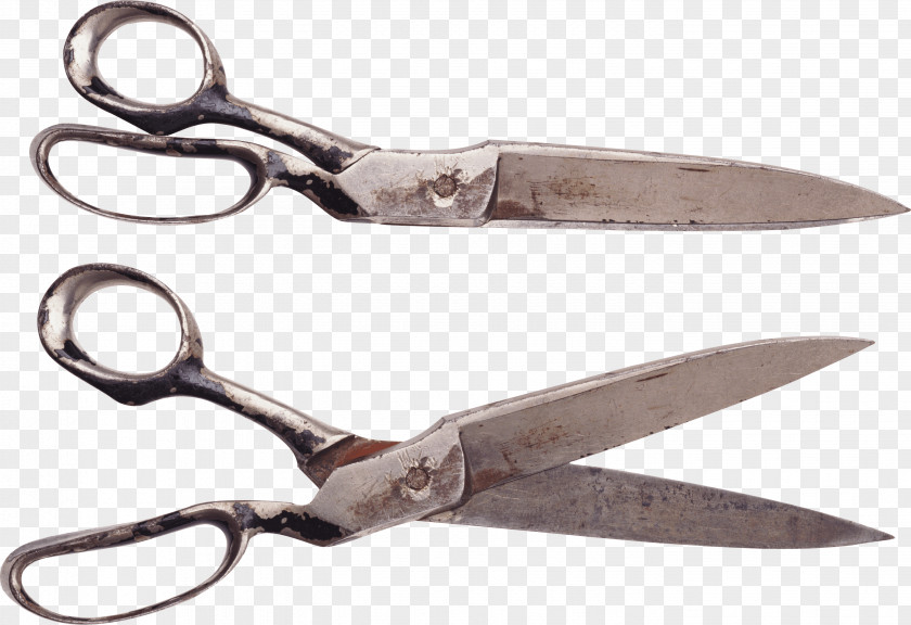 Scissor Image File Formats Scissors Clip Art PNG