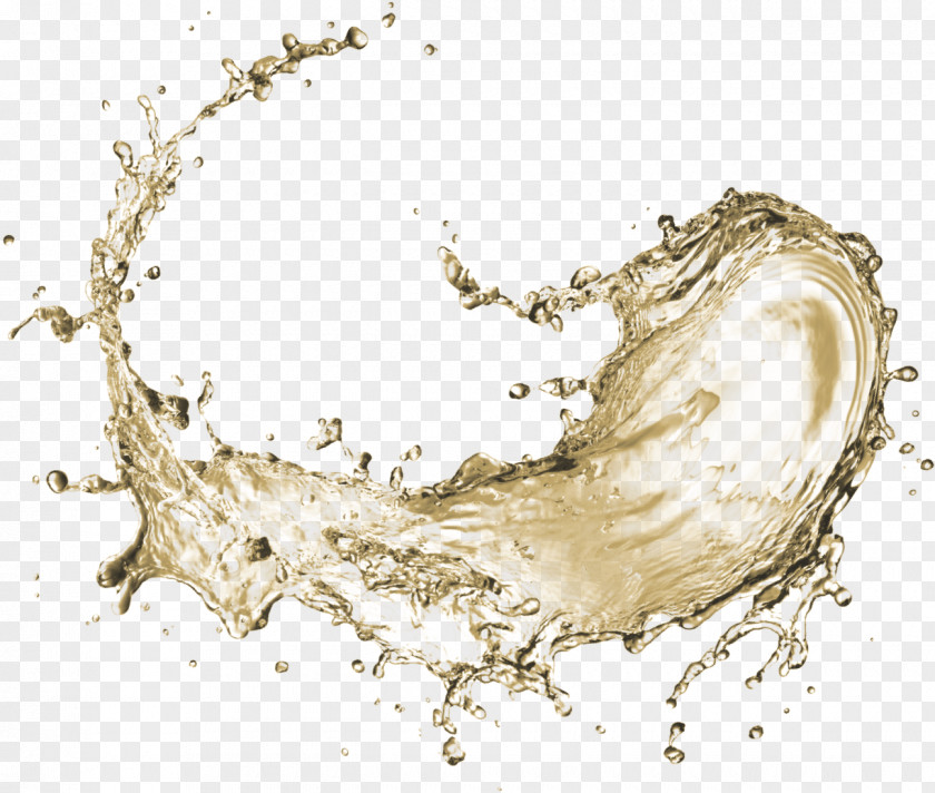 Water Organism Electrolyte Drawing PNG