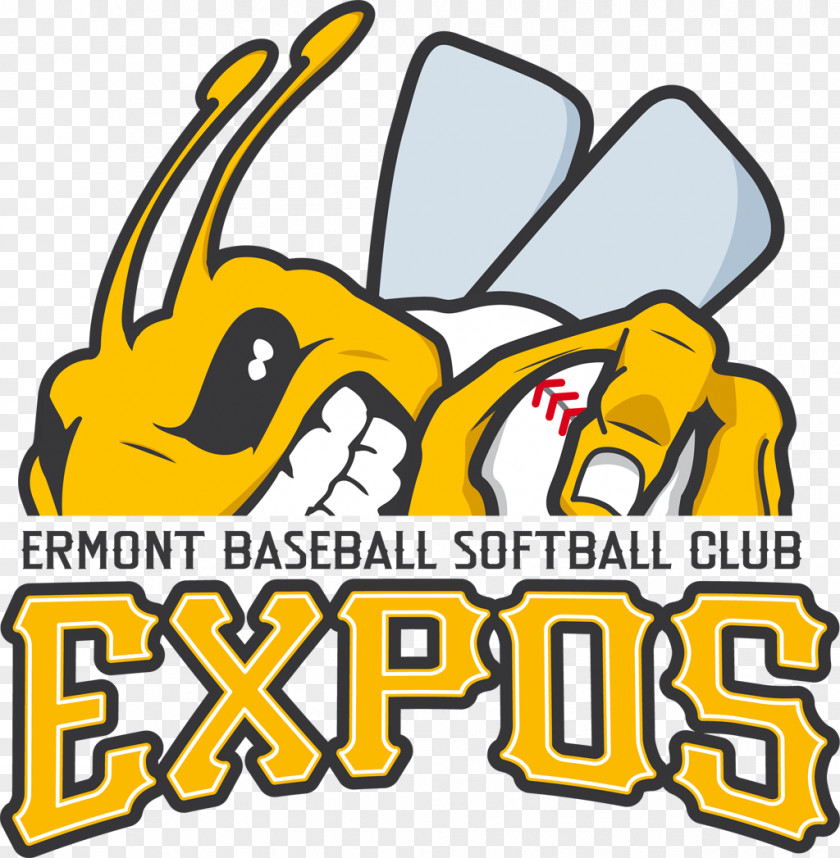 Baseball Expos Ermont Softball Club Baseball/Softball Templiers De Sénart France National Team PNG