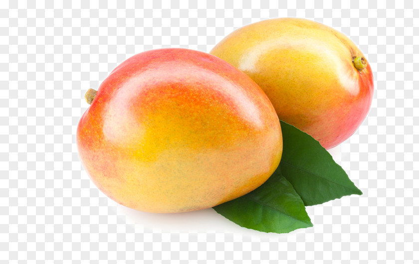 Fresh Mango Food Fruit PNG
