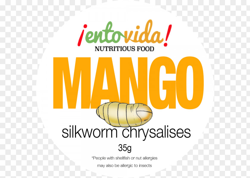 Insect Silkworm Entomophagy Superworm PNG