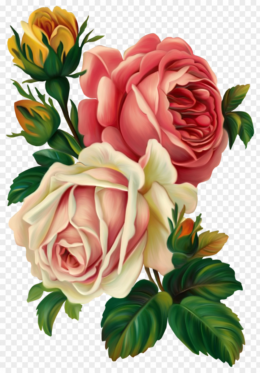 Painted Flowers Rose Flower Vintage Clothing Pink Clip Art PNG