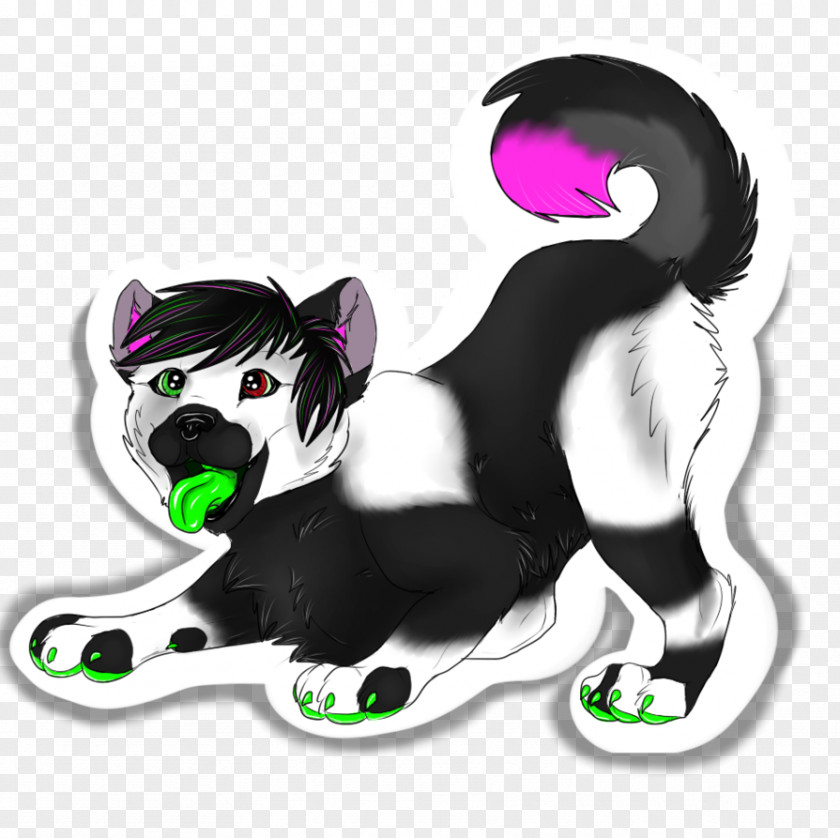 Puppy Whiskers Cat Dog Horse PNG