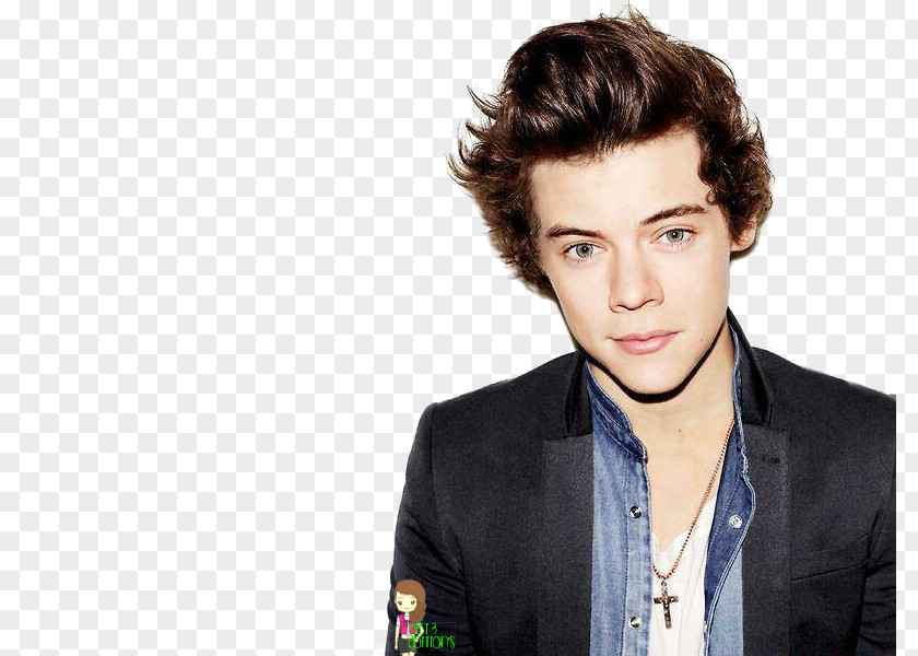 STYLE Harry Styles 2013 Brit Awards The X Factor One Direction Photo Shoot PNG