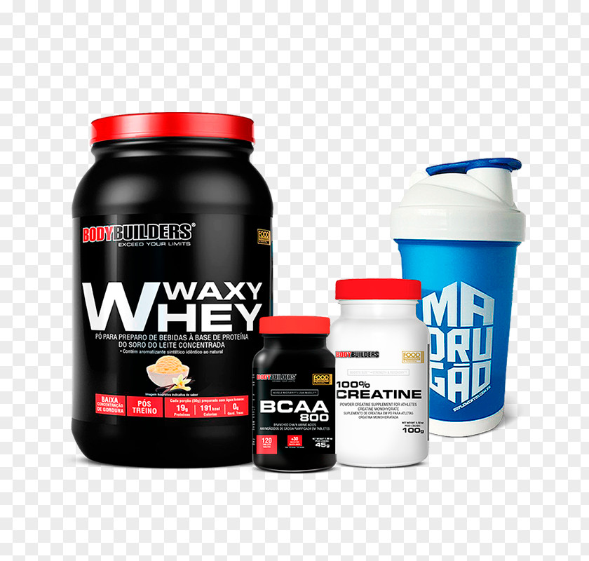 Taste Dietary Supplement Whey Bodybuilding Protein Biological Value PNG