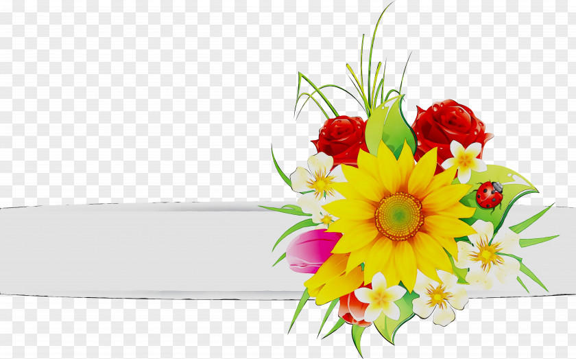 Cut Flowers Transvaal Daisy Floral Design Flower Bouquet PNG
