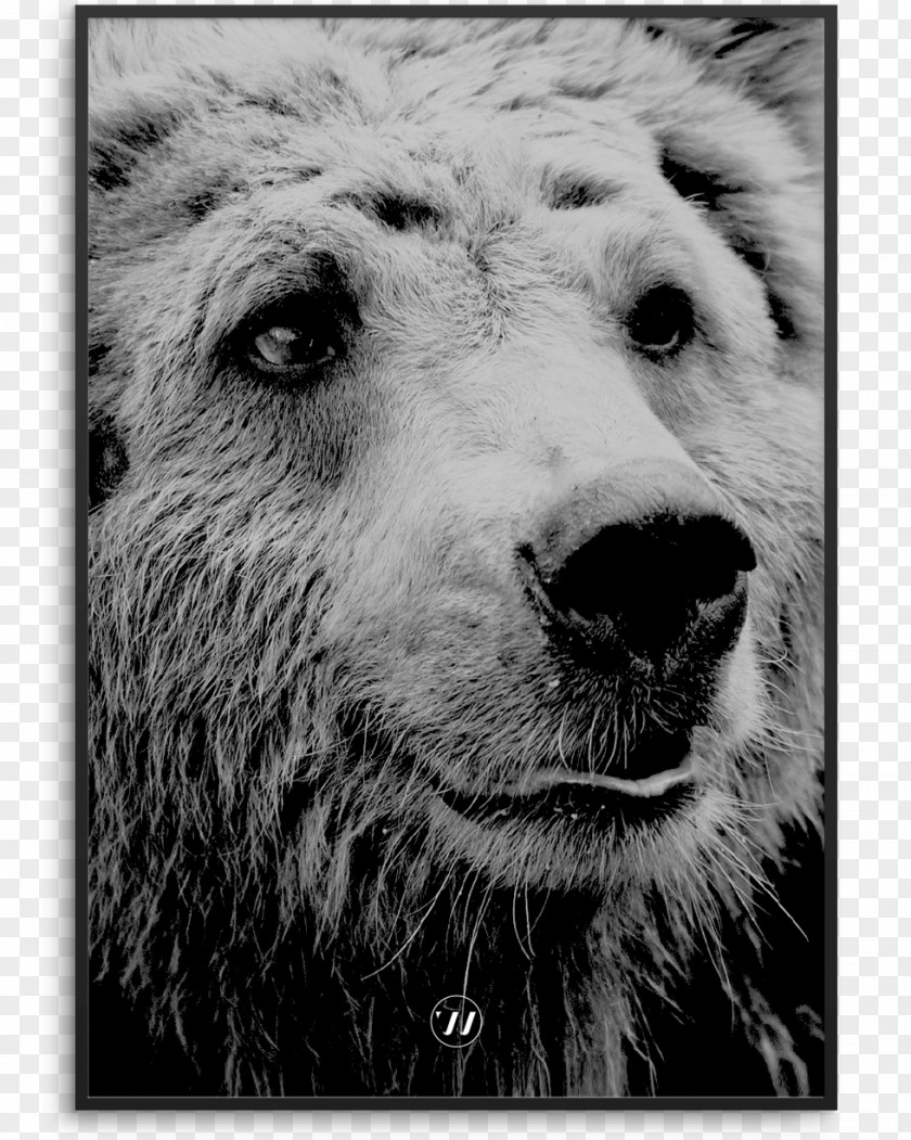 Design Poster Art Dog Breed Black And White PNG