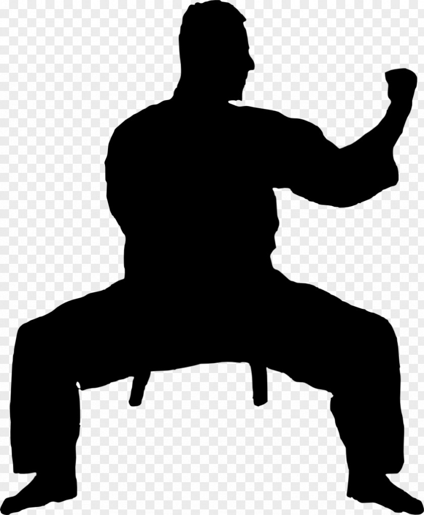 Karate Black Belt Martial Arts Clip Art PNG