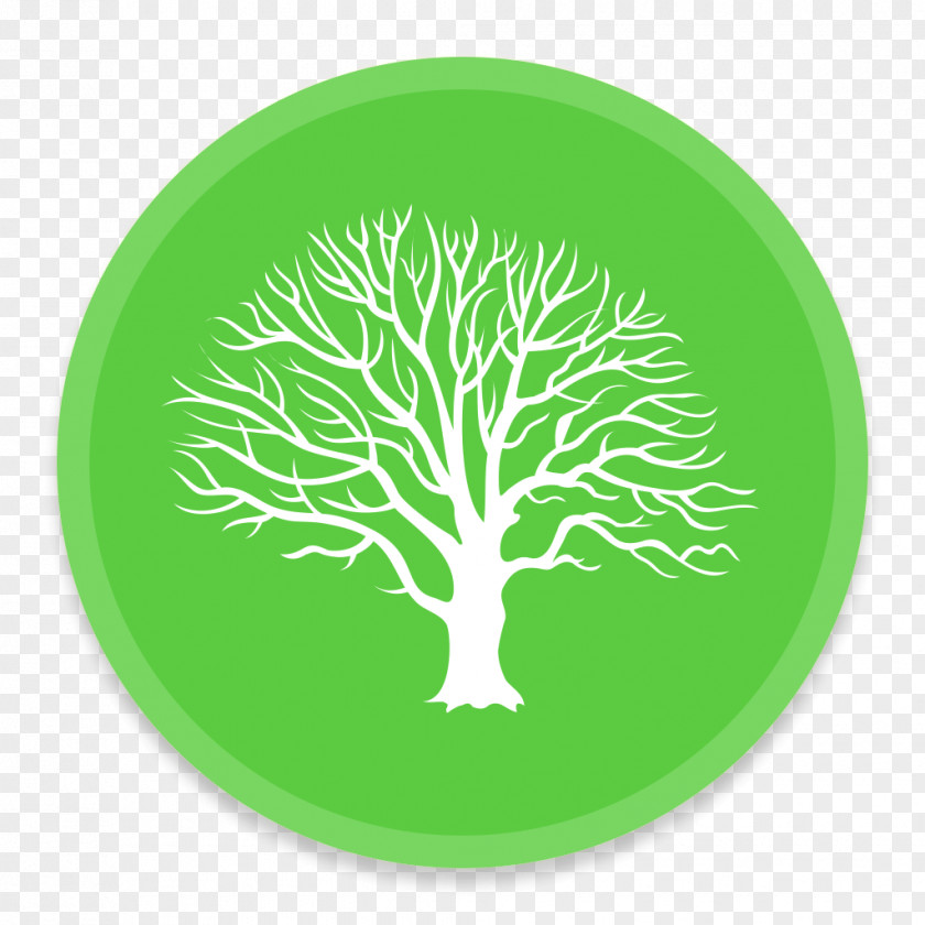 MacFamilyTree Plant Flora Leaf Tree Font PNG