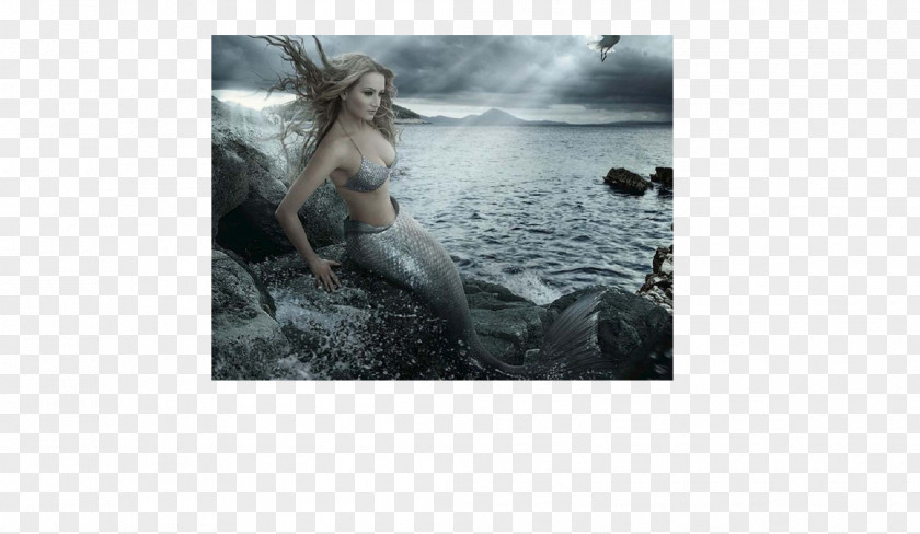 Mermaid A Legendary Creature Mythology Siren PNG