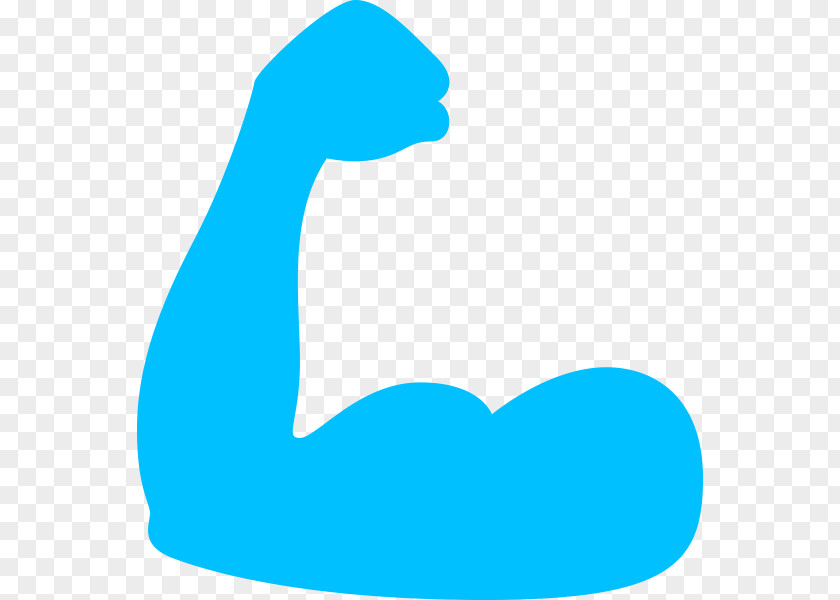 Muscul Muscle General Fitness Training Clip Art PNG