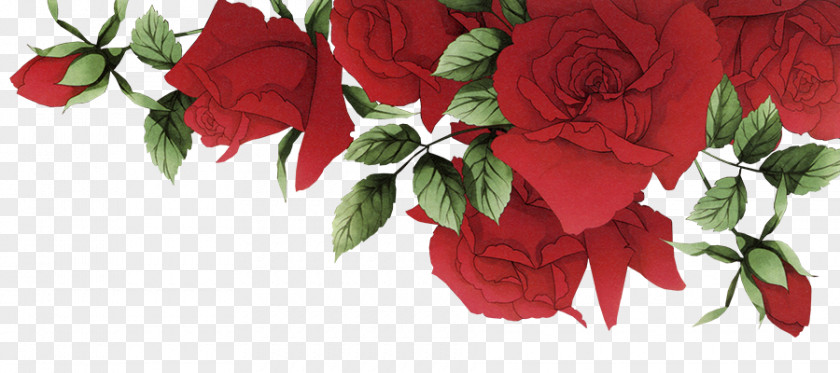 Romantic Red Roses Border Garden Beach Rose Flower PNG