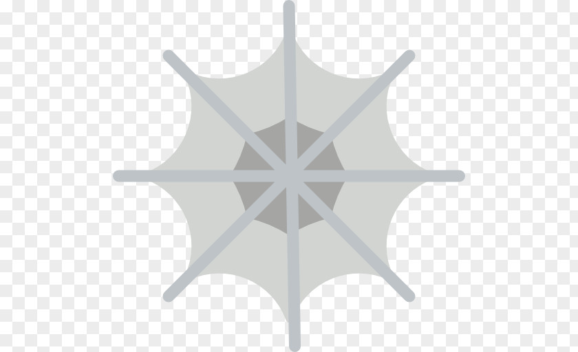 Spider Cobweb Sciadopitys PNG