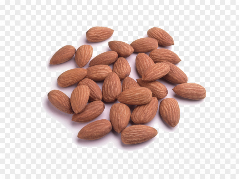 Almond Nut Food Blogging Ingredient PNG