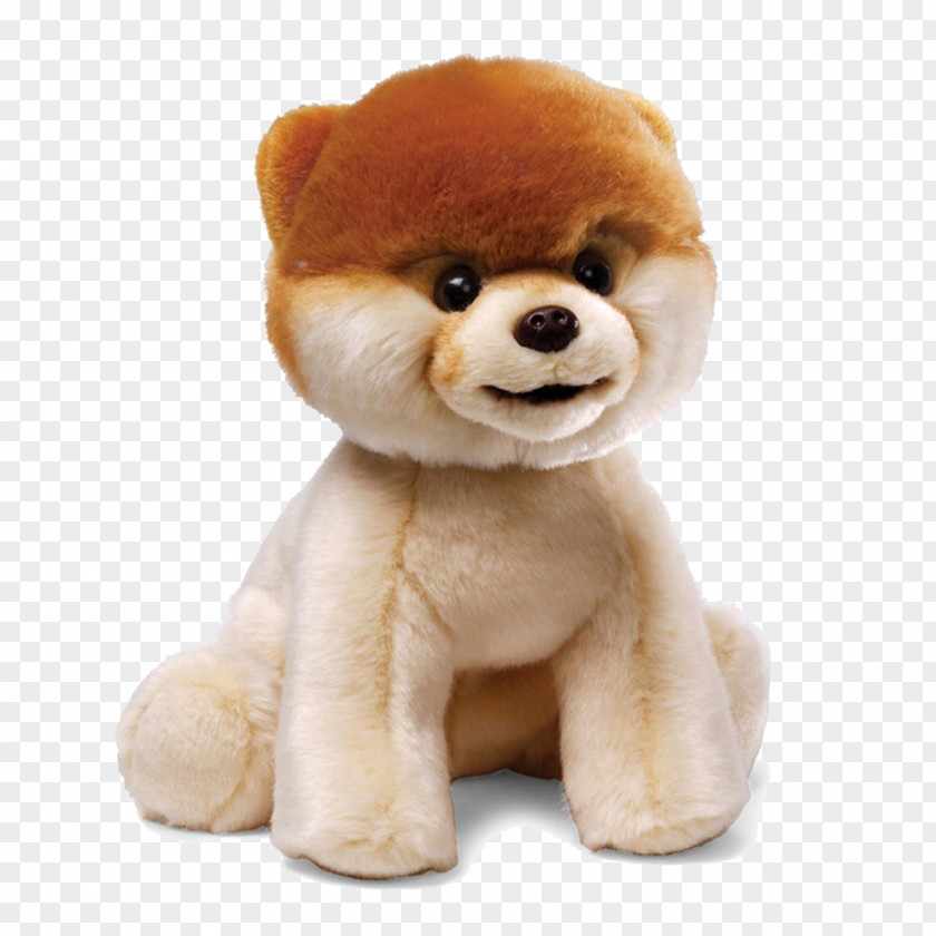 Boo Dog File Pomeranian Stuffed Toy Gund Plush PNG