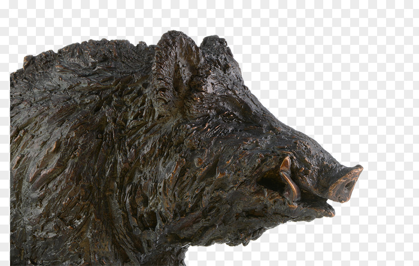 Bronze Sculpture Wild Boar Kunstmalerin & Bildhauerin Gabriele Haslinger PNG