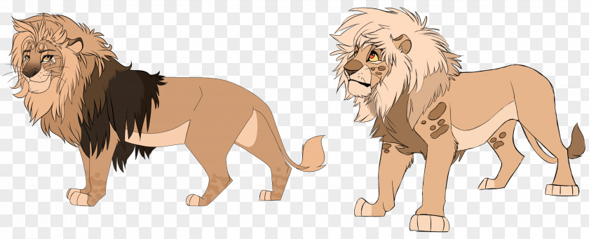 Lion African Roar Captivity Big Cat PNG