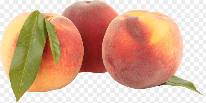 Peach Image Nectarine Saturn PNG