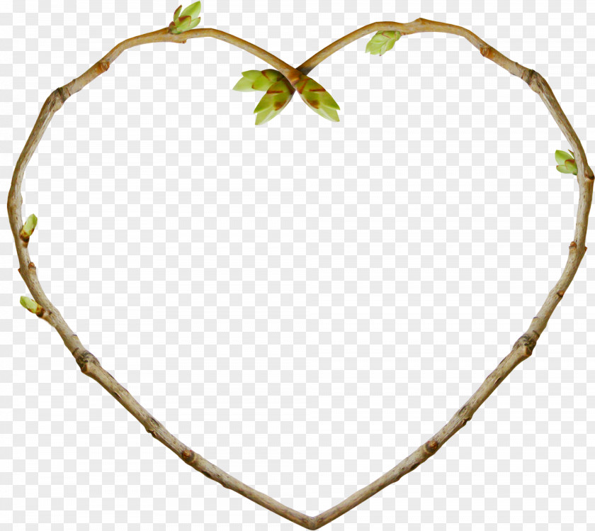 Twig Leaf Tree Plant Stem Organ PNG stem Organ, elements of collage clipart PNG
